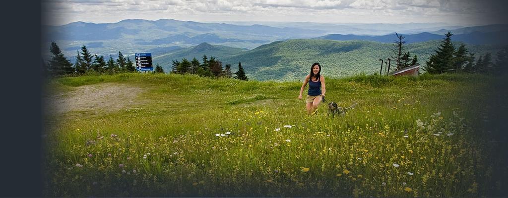 Goldilocks Cabin Stowe Esterno foto